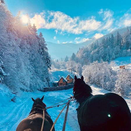 BagriWood Lodges  Яремча Экстерьер фото