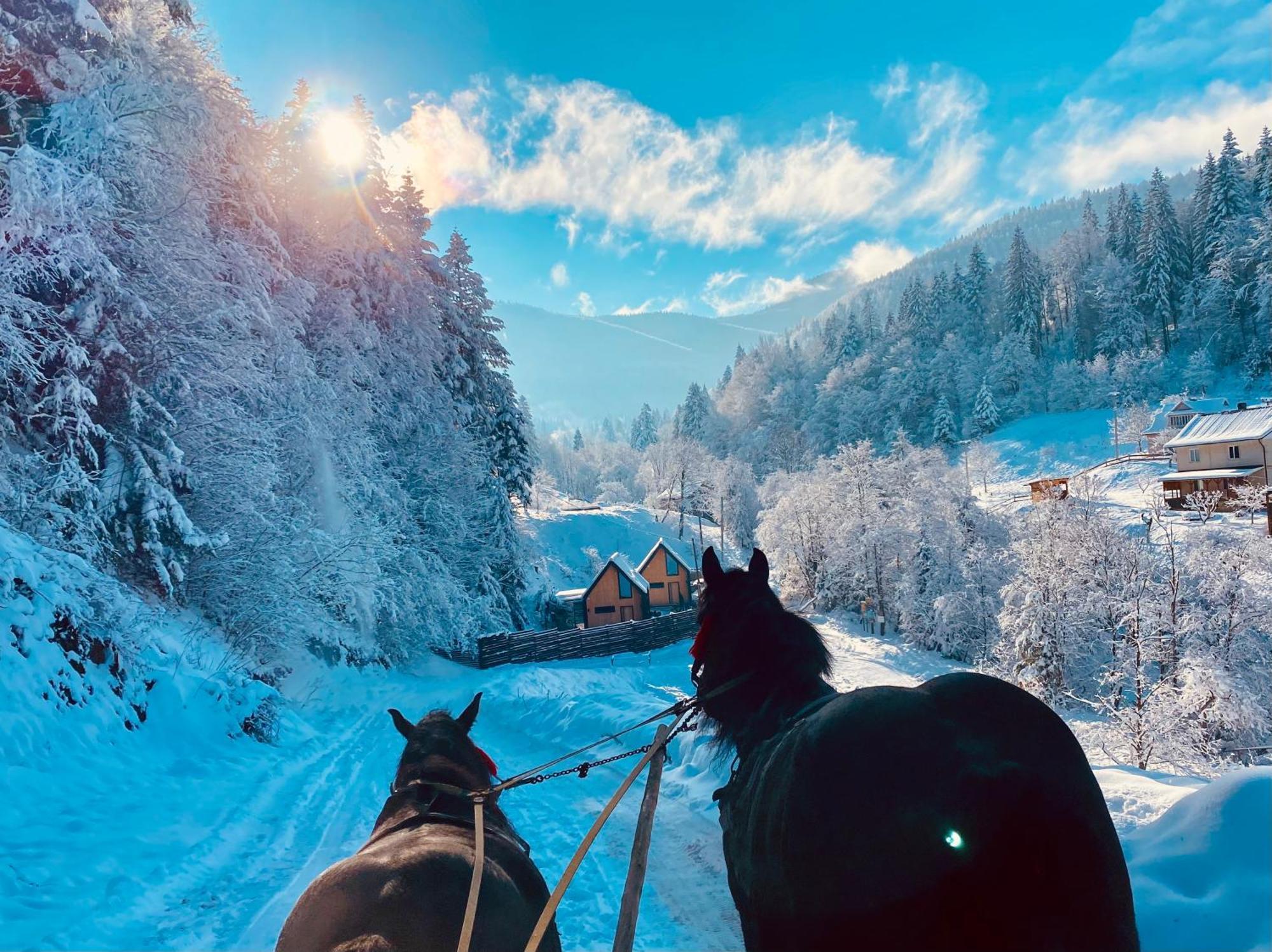 BagriWood Lodges  Яремча Экстерьер фото