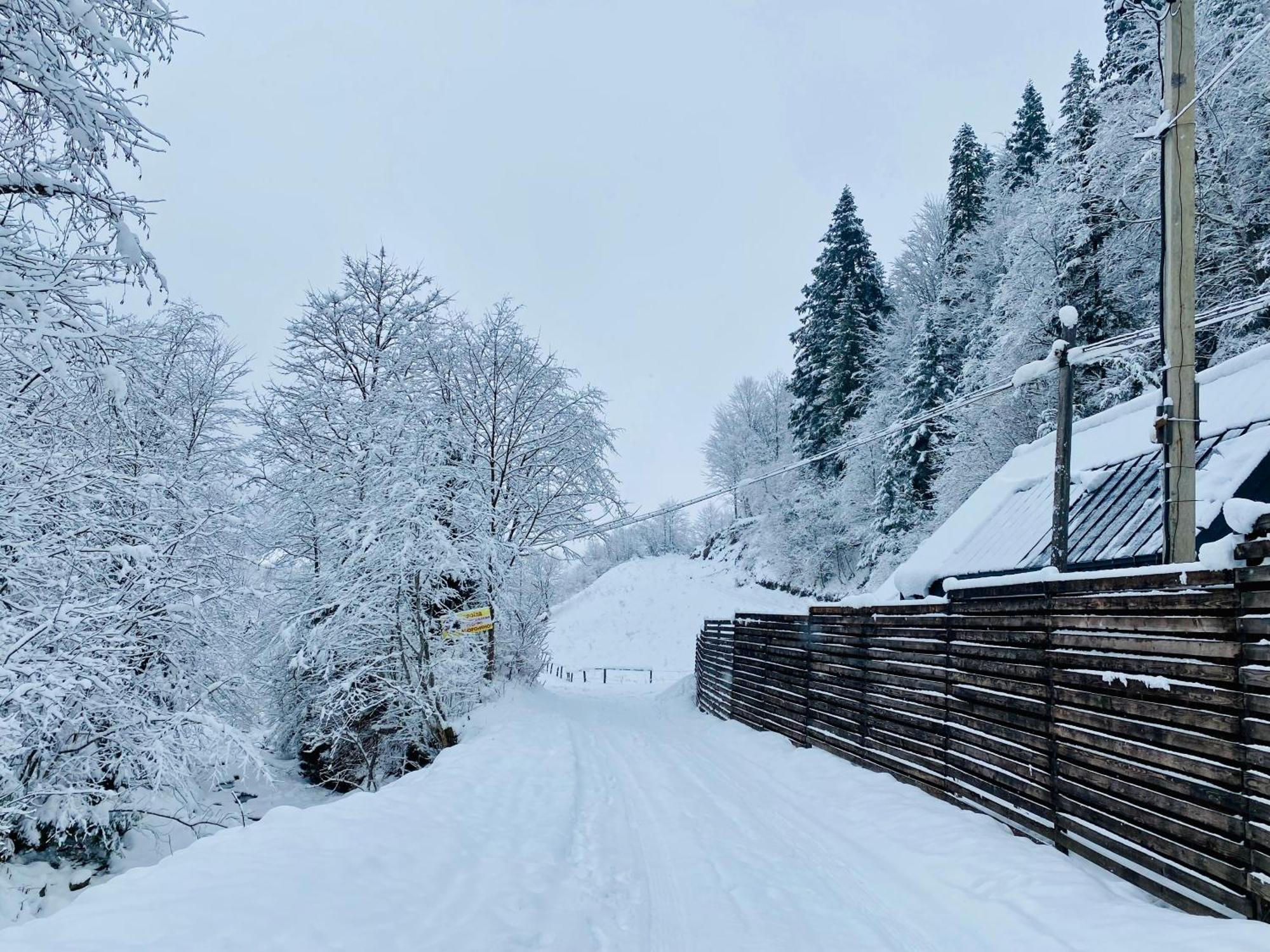 BagriWood Lodges  Яремча Экстерьер фото