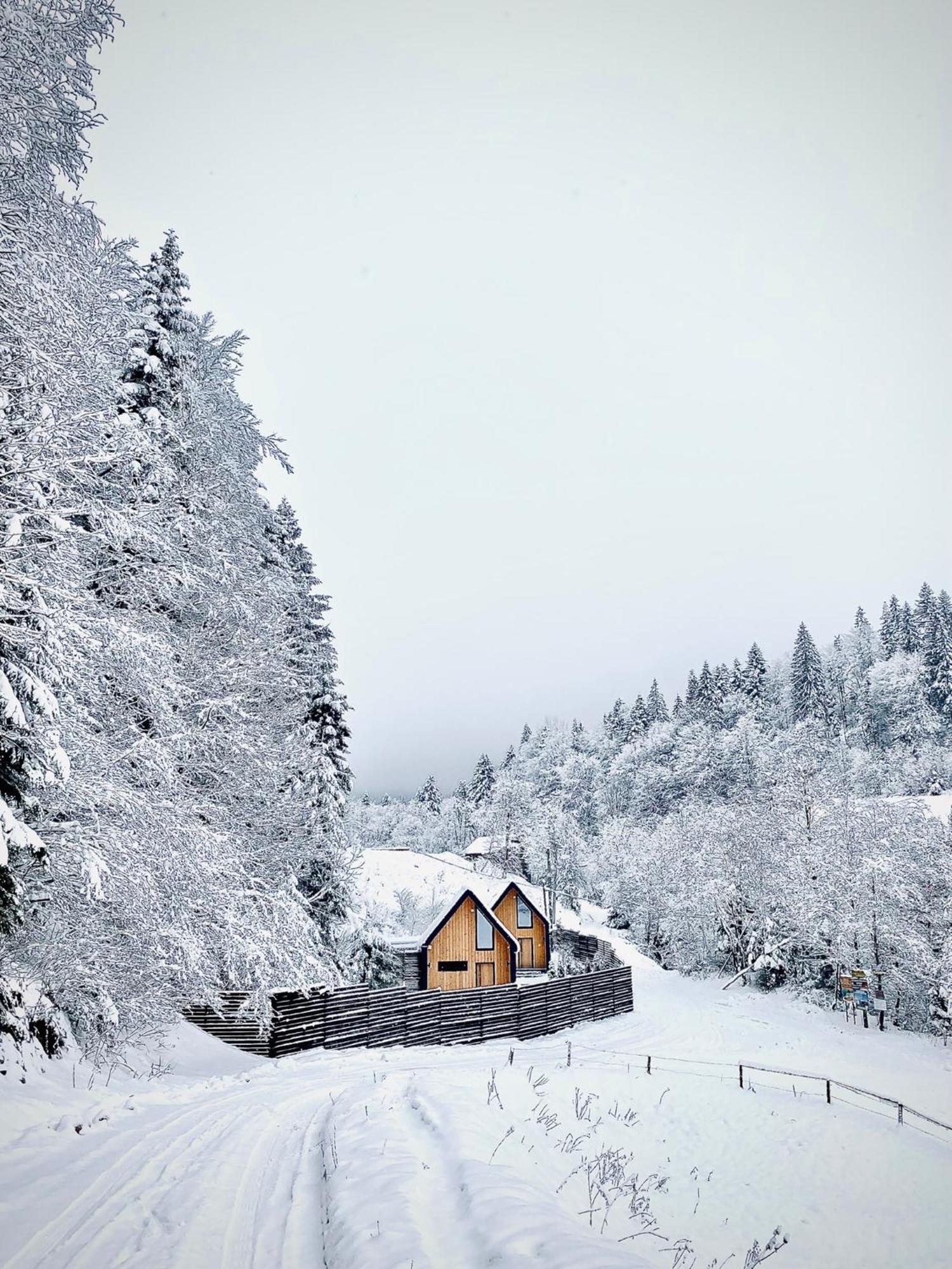 BagriWood Lodges  Яремча Экстерьер фото