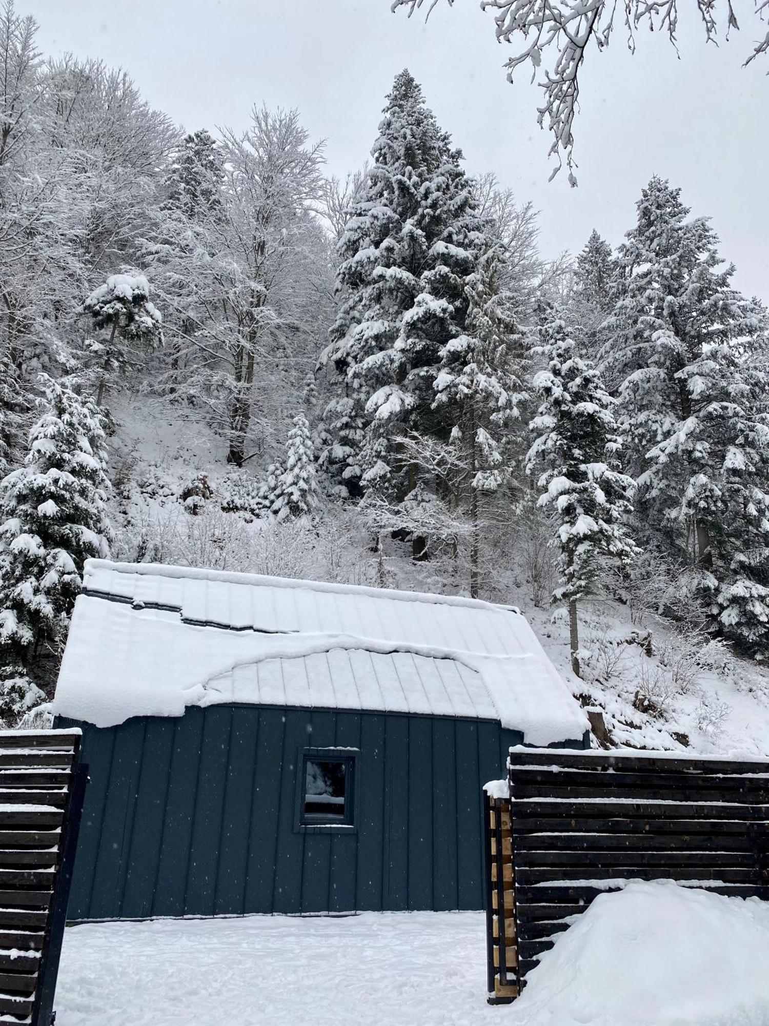 BagriWood Lodges  Яремча Экстерьер фото